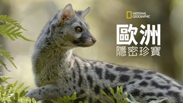 thumbnail - 歐洲隱密珍寶