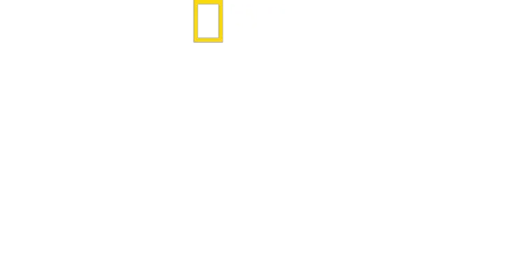 Becoming Cousteau
