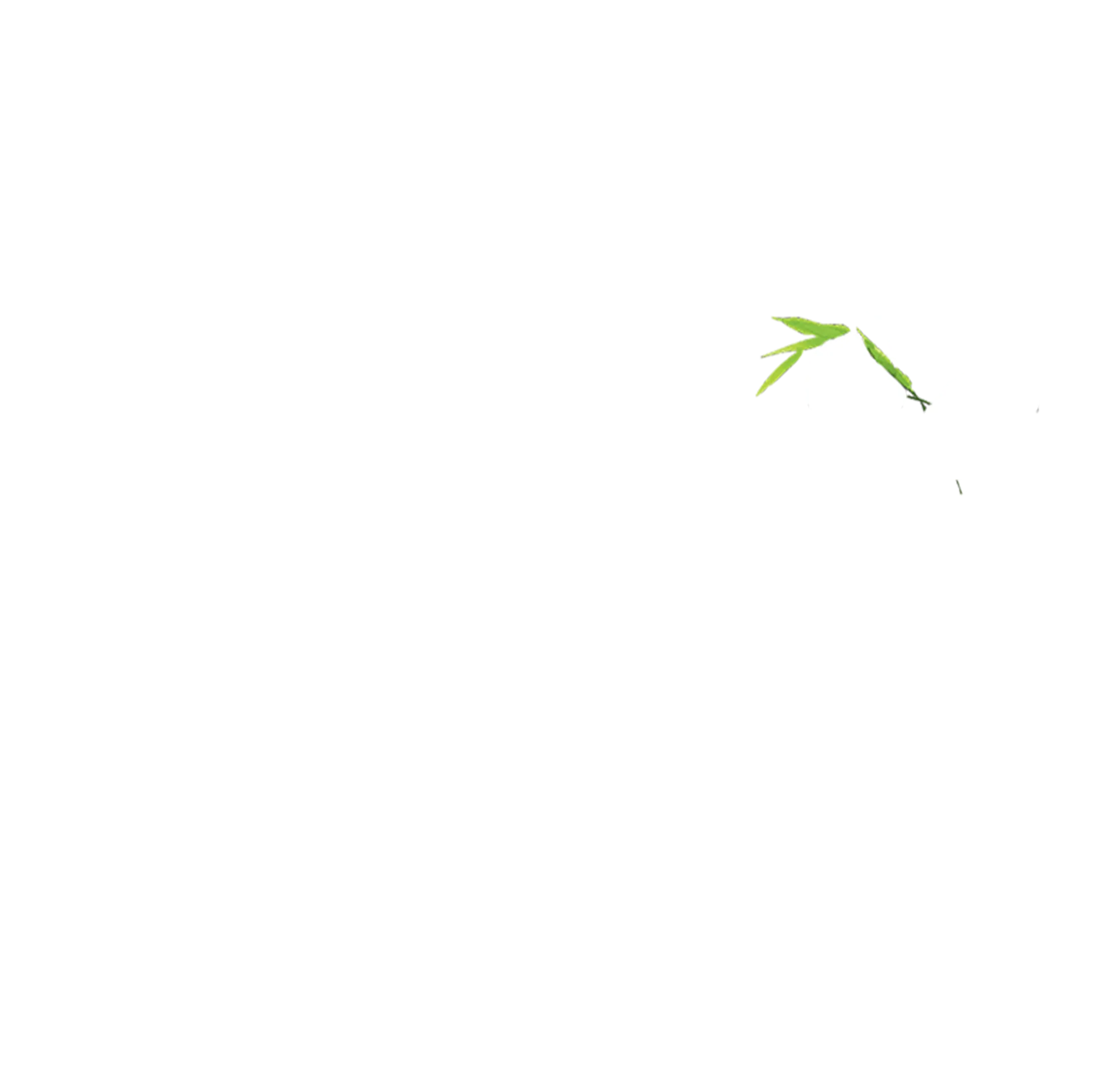 貓熊團圓路