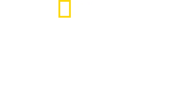 蓋兒加朵之女力故事