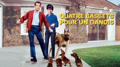 thumbnail - Quatre bassets pour un danois