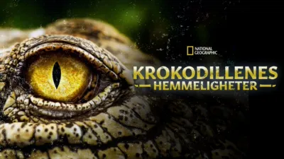 thumbnail - Krokodillenes hemmeligheter