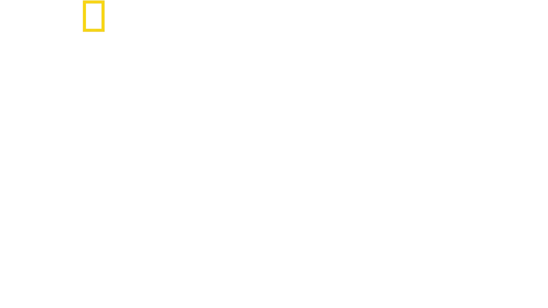 Stanley Tucci: Az olasz konyha nyomában