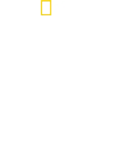 Stanley Tucci: Az olasz konyha nyomában