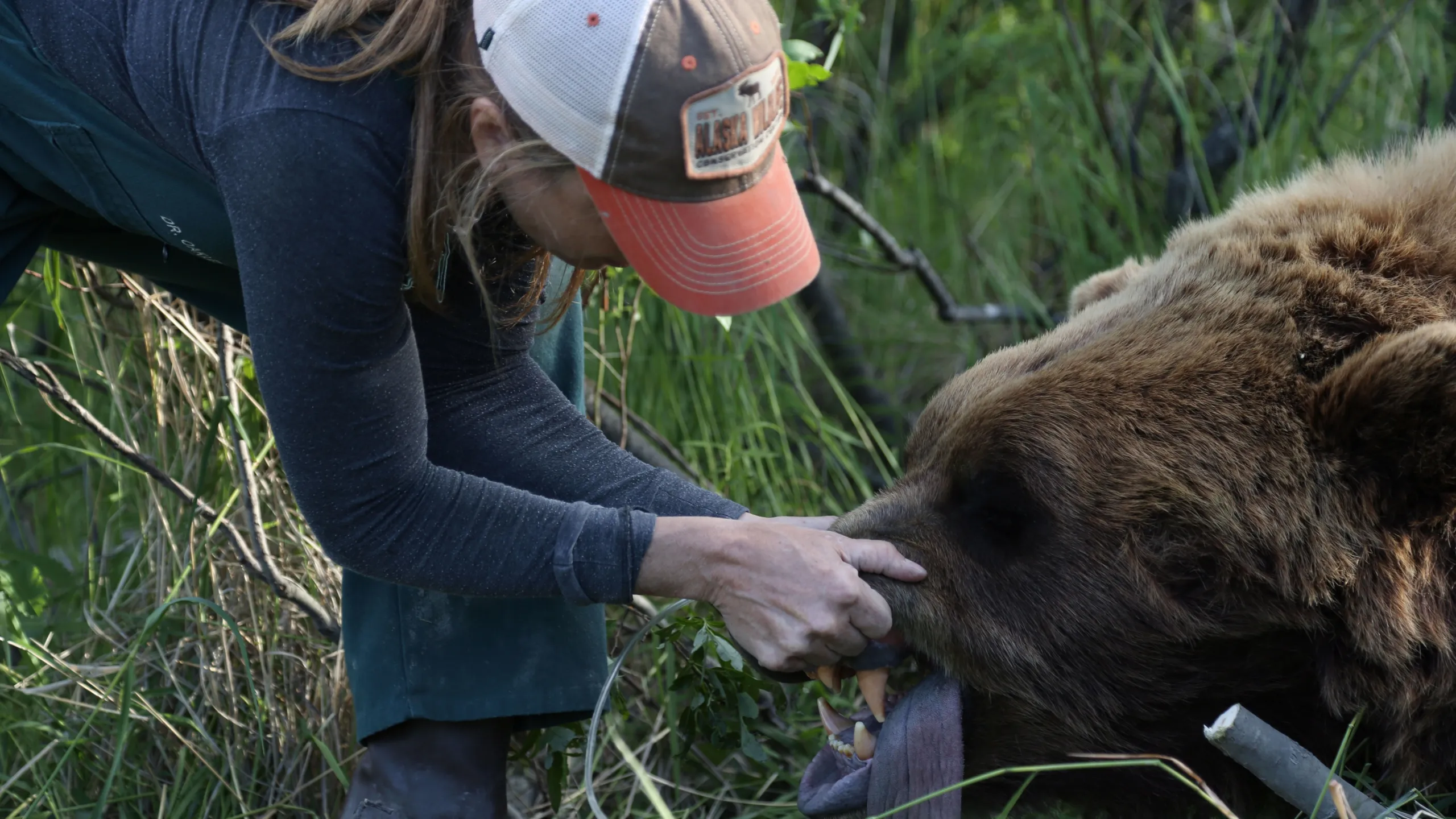 thumbnail - S4:E7 Bad News Bear