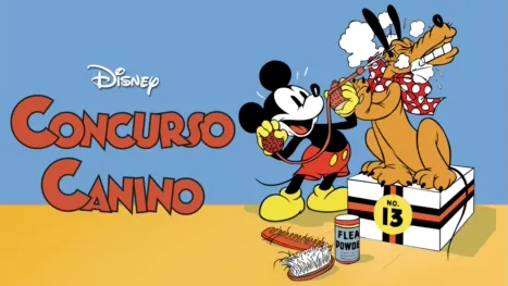 thumbnail - Concurso Canino