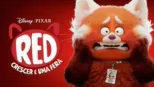 thumbnail - Red - Crescer é uma Fera