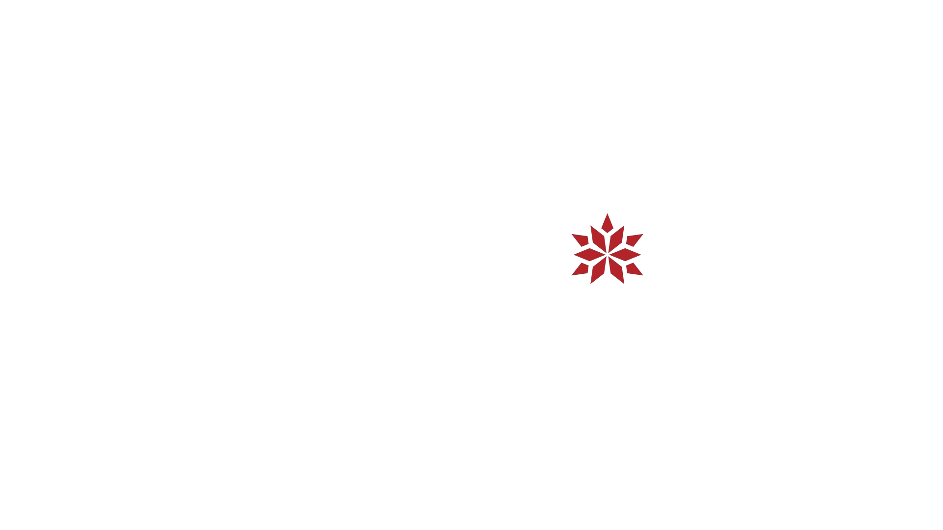 Every Christmas Has a Story