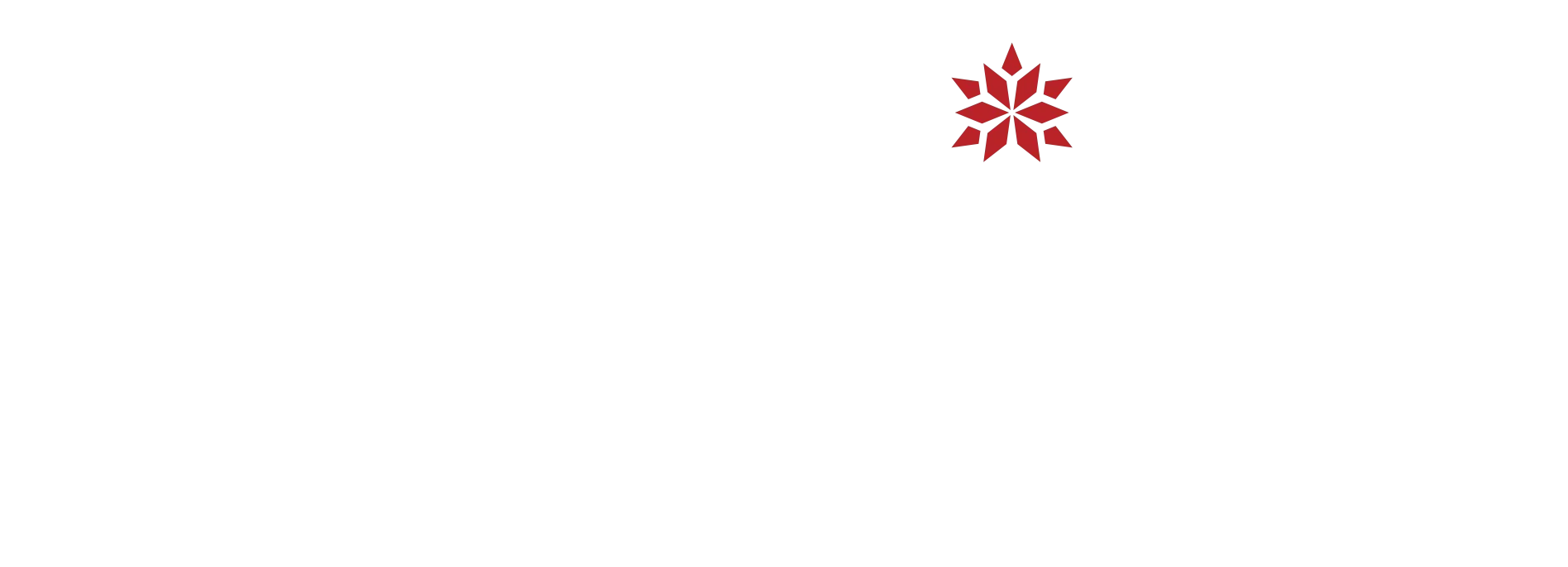 Every Christmas Has a Story