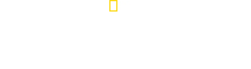 鯊魚伊甸園