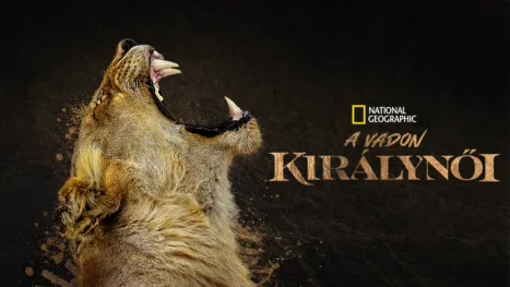 thumbnail - A vadon királynői