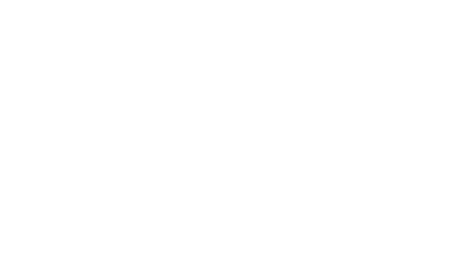 Os Protetores