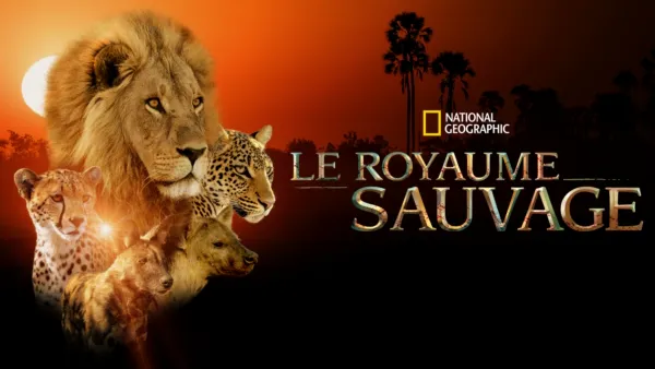 thumbnail - Le royaume sauvage