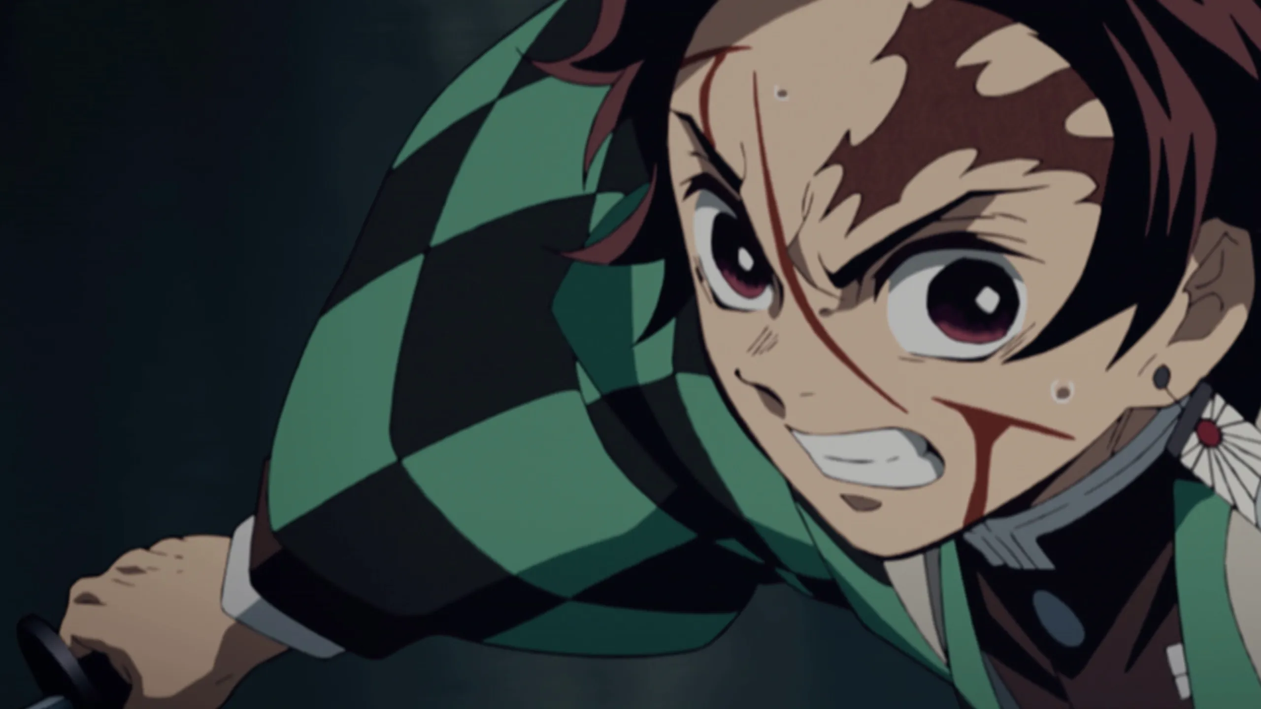 Demon Slayer: Kimetsu no Yaiba Tanjiro Kamado, Unwavering Resolve Arc
