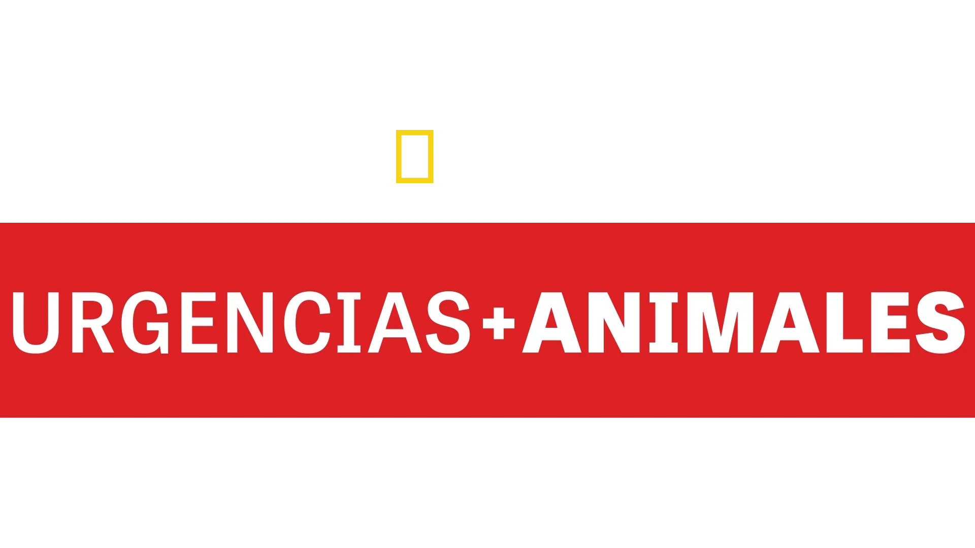 Urgencias animales