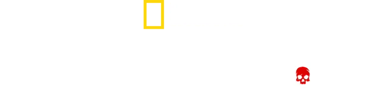 戦士たちの墓場