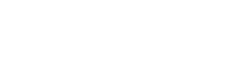 The Hero of Goodall Park