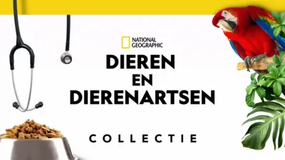 thumbnail - Dieren en dierenartsen 