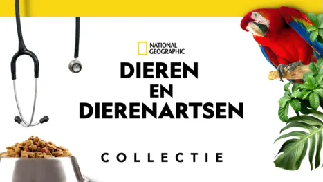 thumbnail - Dieren en dierenartsen 