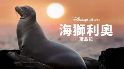 海獅利奧環島記