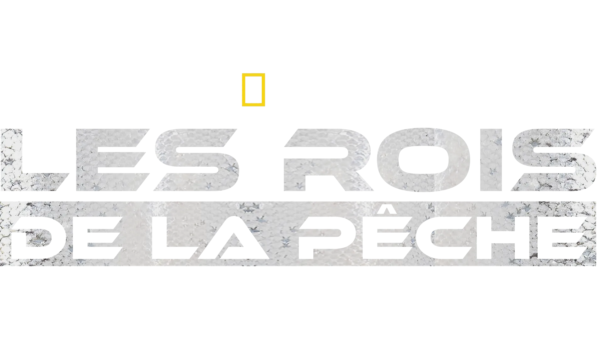 Les rois de la pêche