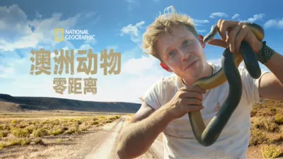 澳洲动物零距离