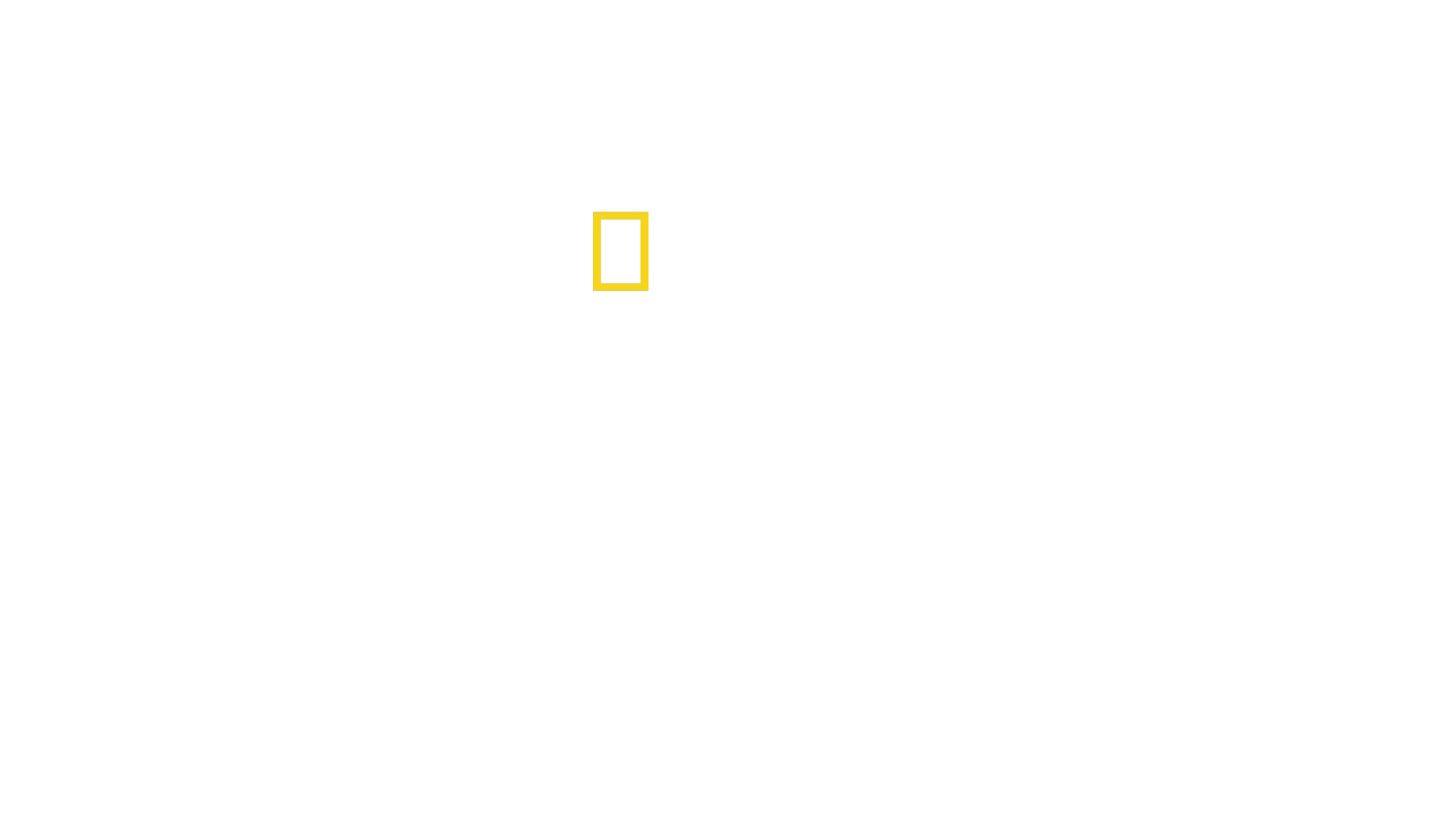 Akashinga: The Brave Ones