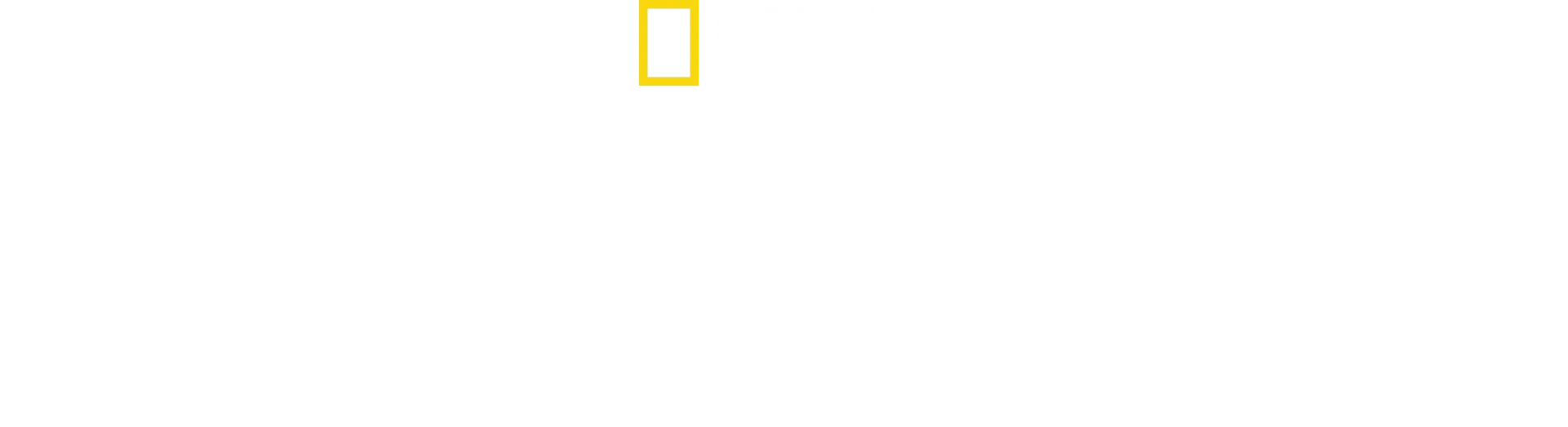 Akashinga: The Brave Ones