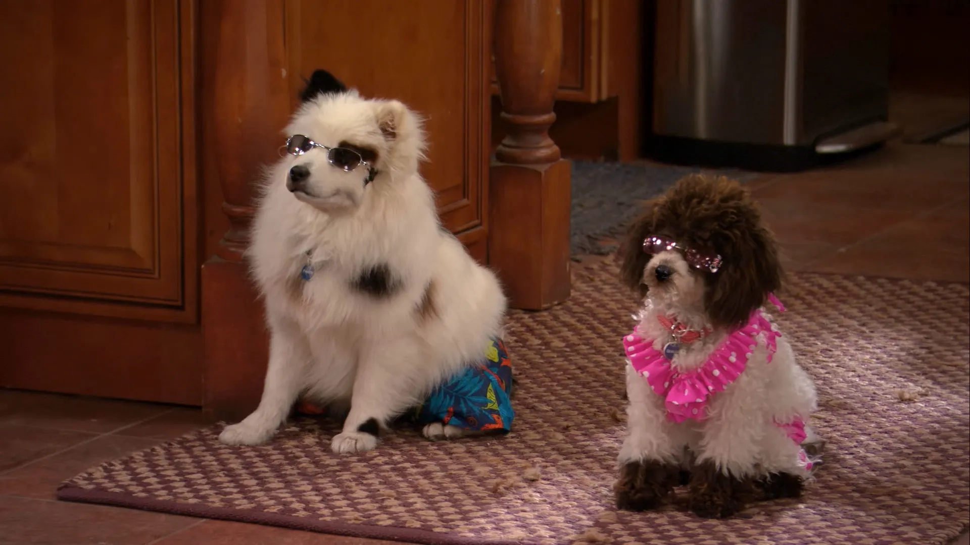 thumbnail - S3:E20 Murder of the Ornamental Dress