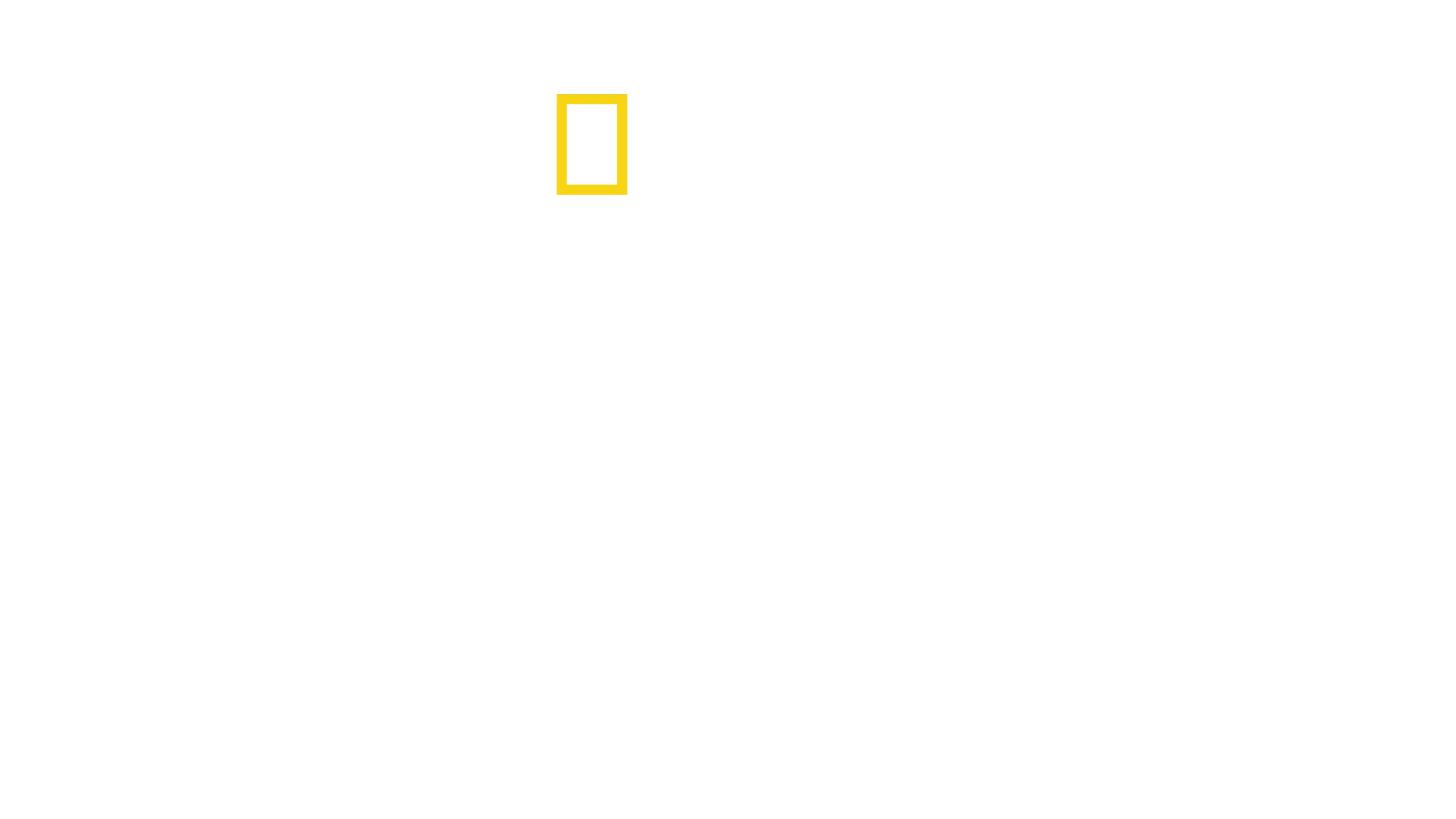 Veszedelmes Afrika