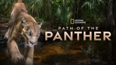 Path of the Panther
