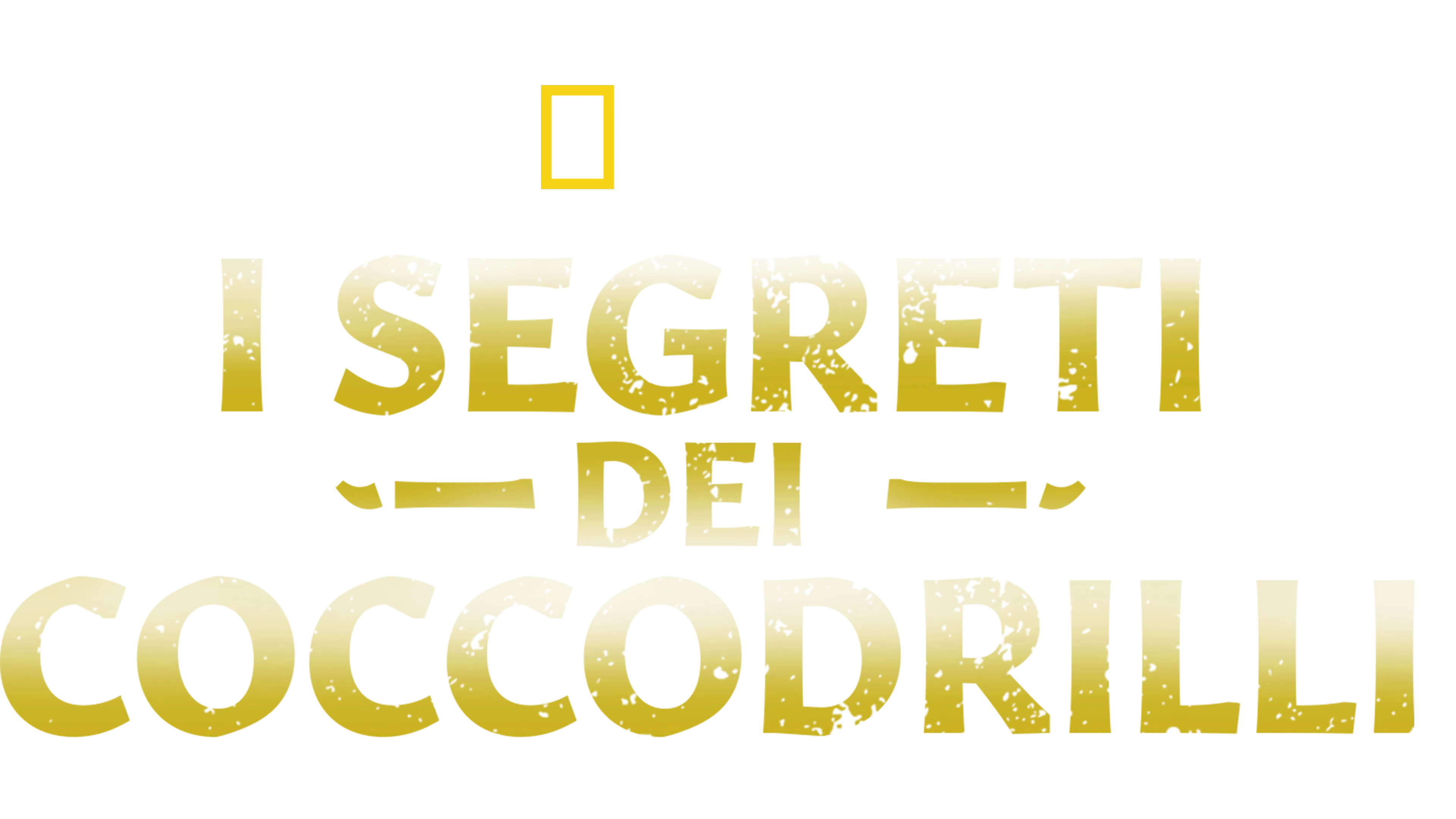 I segreti dei coccodrilli