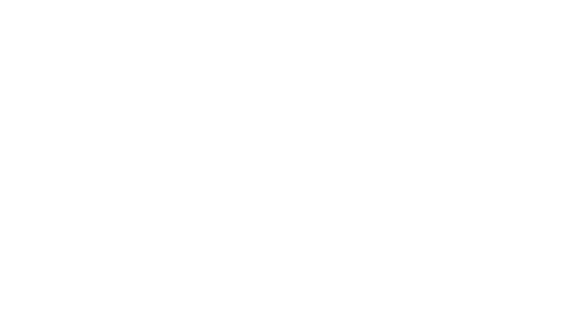 Der Millionen Raub