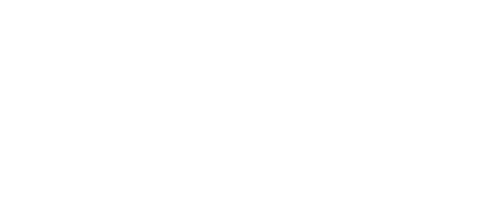 Der Millionen Raub