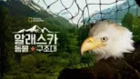 thumbnail - 알래스카 동물 구조대