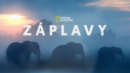 thumbnail - Záplavy