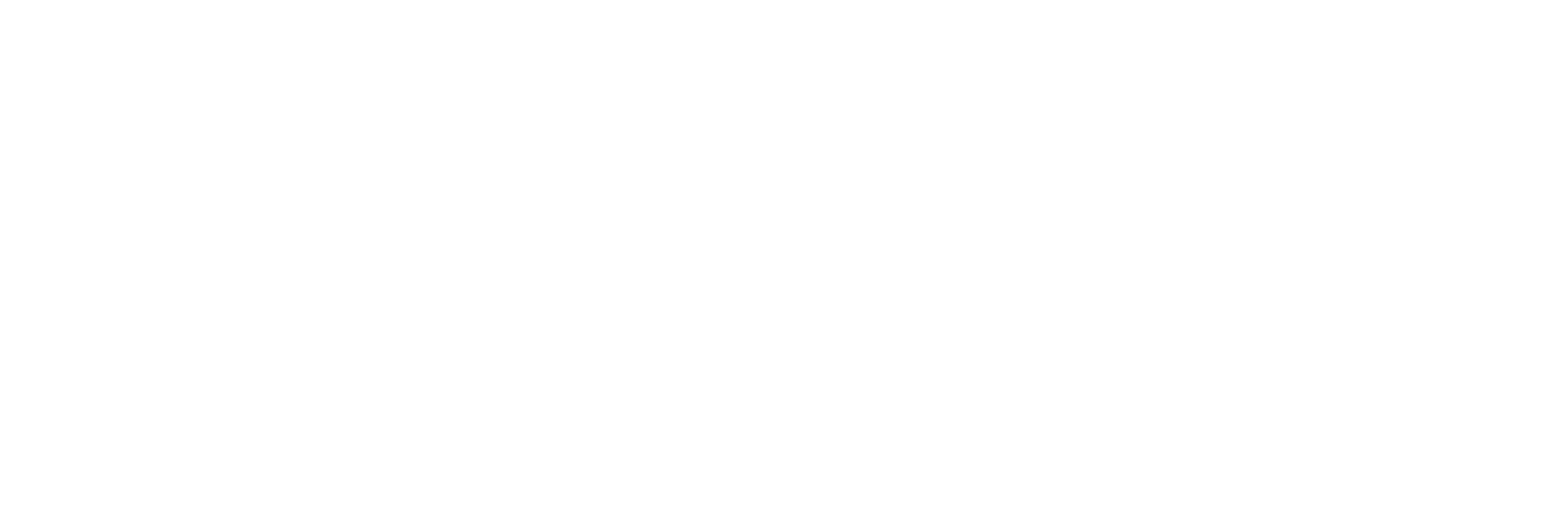 Stagiarii