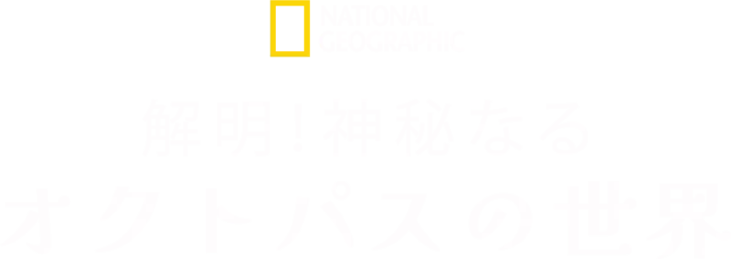 解明！神秘なるオクトパスの世界