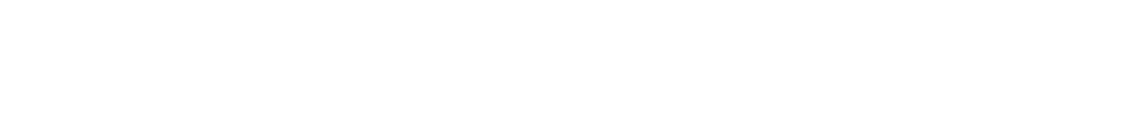 Bolo Negro