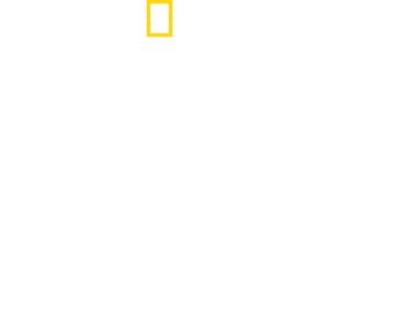Hitler’s Battle Against The Press