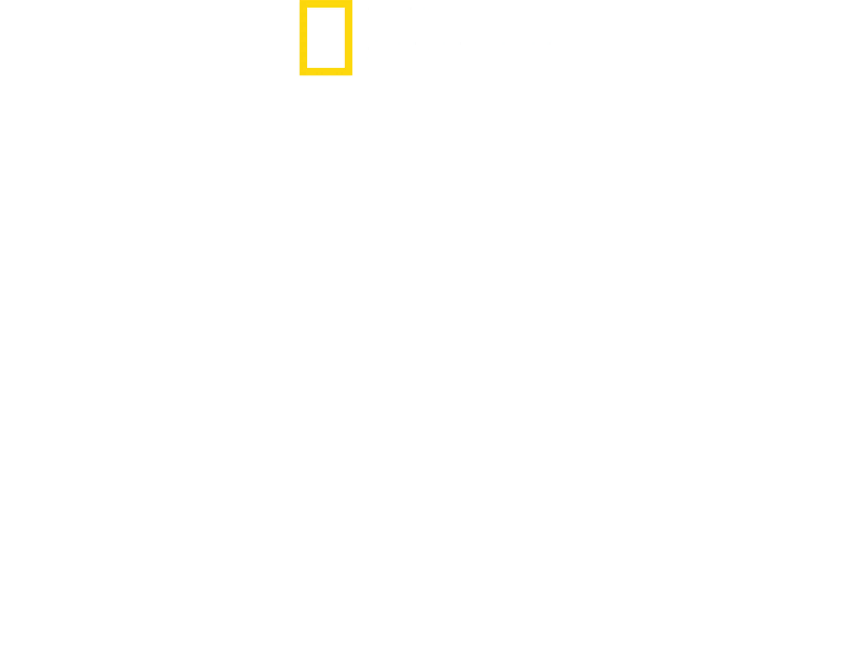 Hitler’s Battle Against The Press