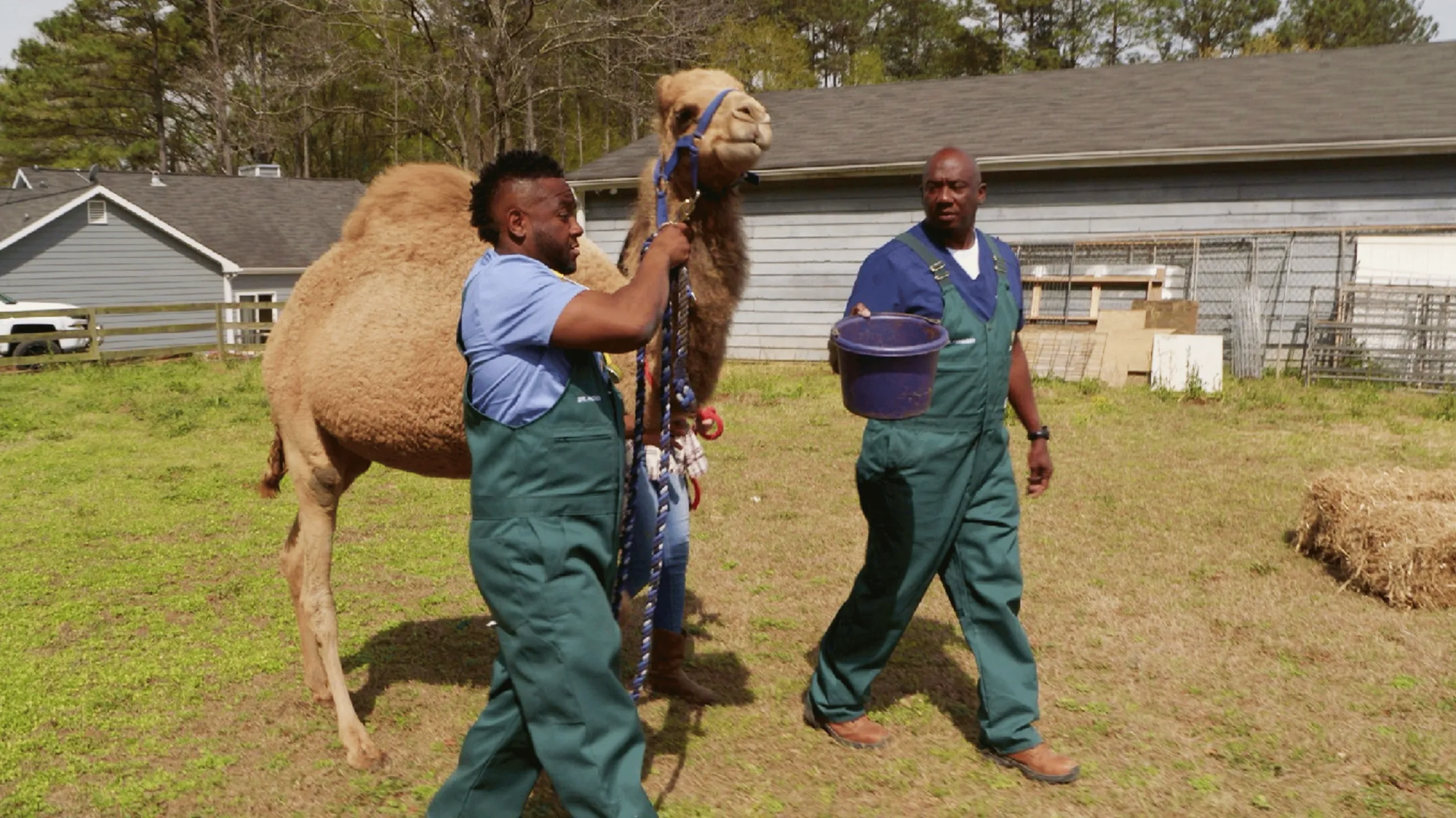 thumbnail - S1:E4 Hump Day