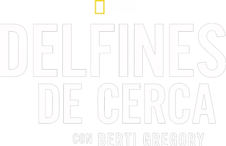 Dolphins Up Close with Bertie Gregory