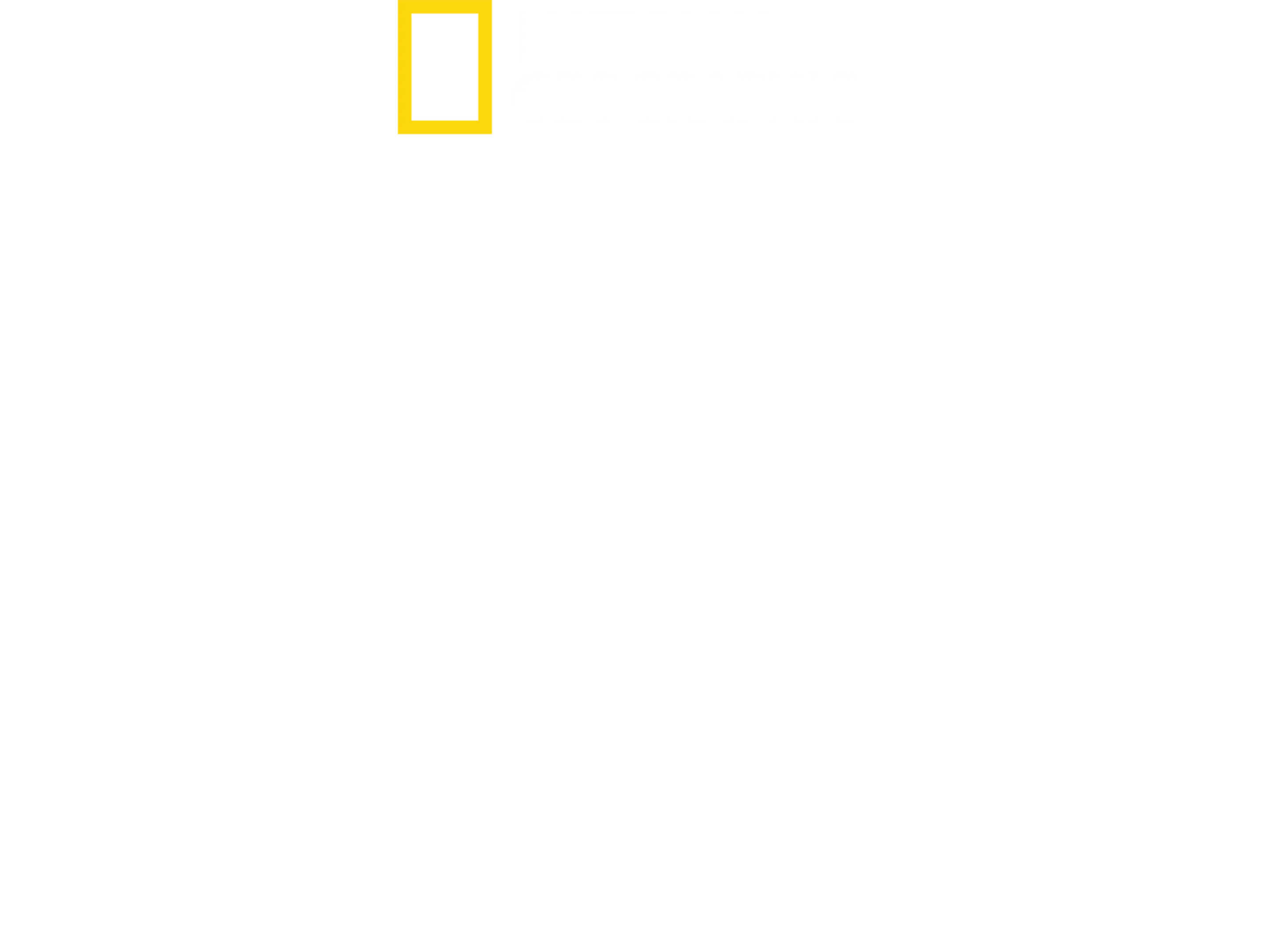 透視內幕: 北韓今昔