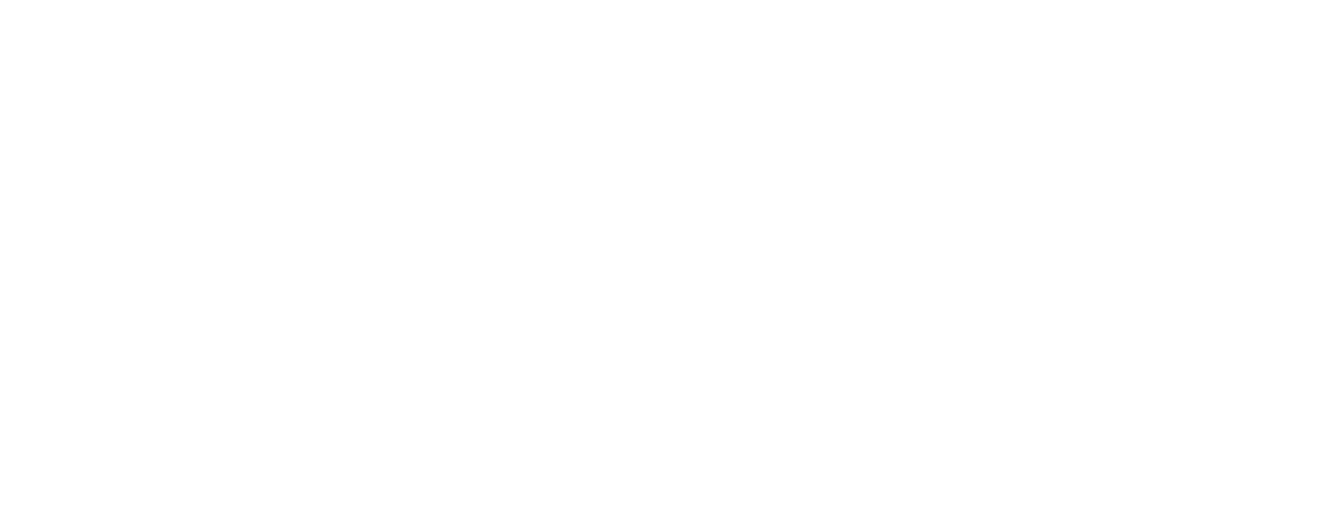Tieňový detektív