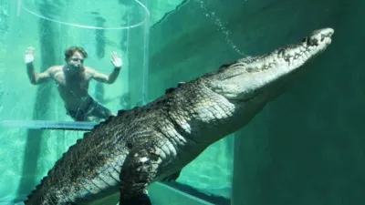 thumbnail - S1:E2 Swimming with a Giant Saltwater Crocodile