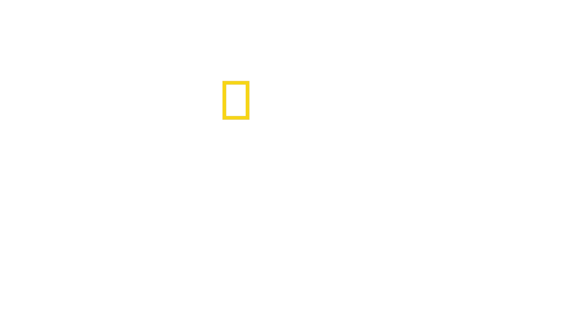 Teknologiens evolusjon