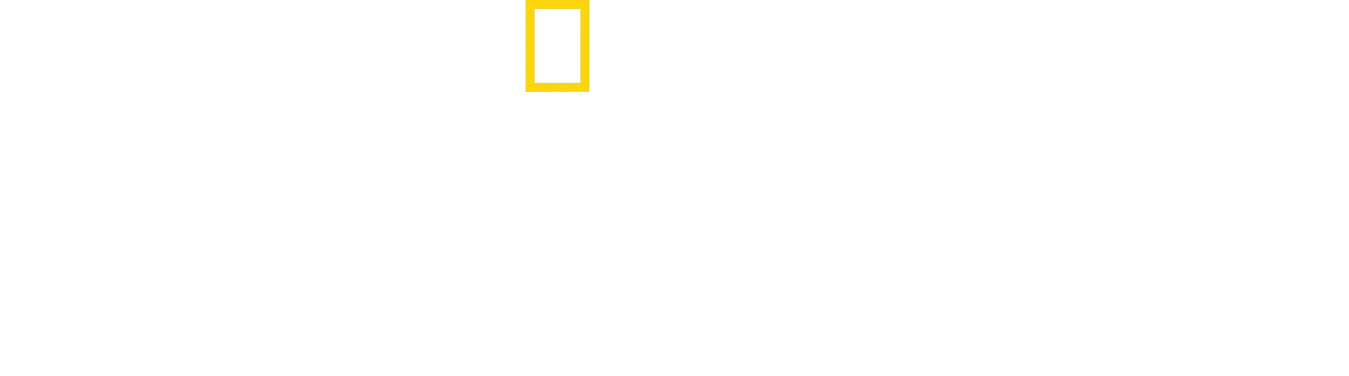 Teknologiens evolusjon