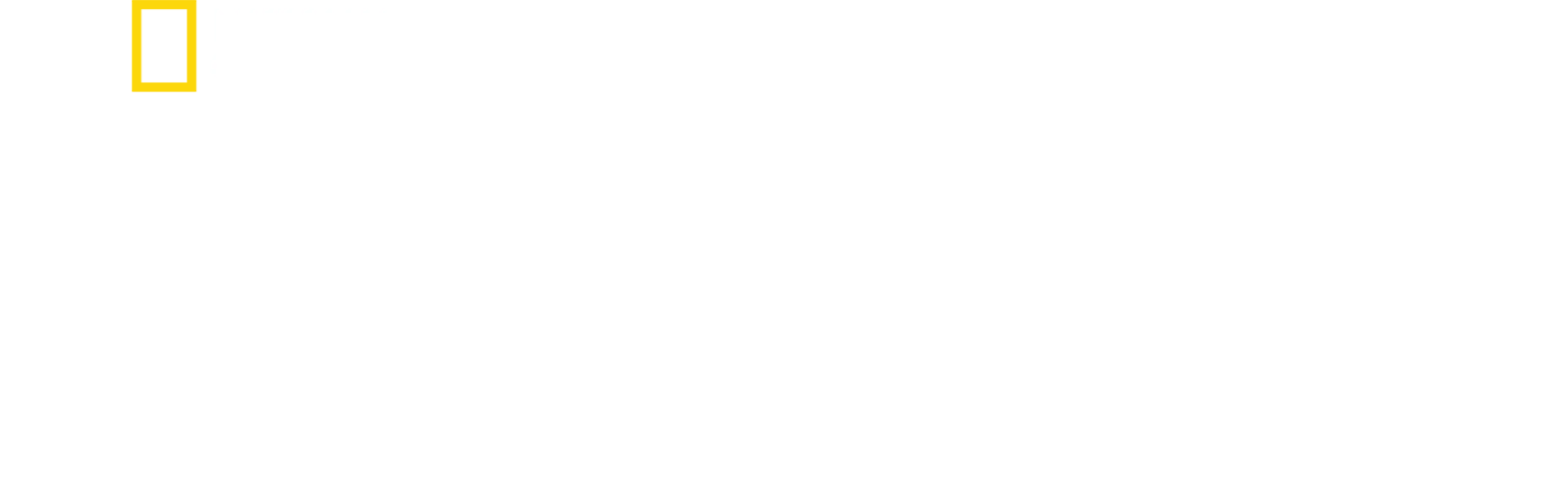 人类起源