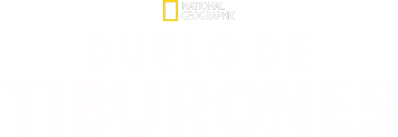 Duelo de tiburones